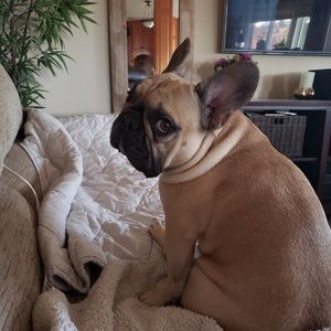 Meet your Posher, Monique